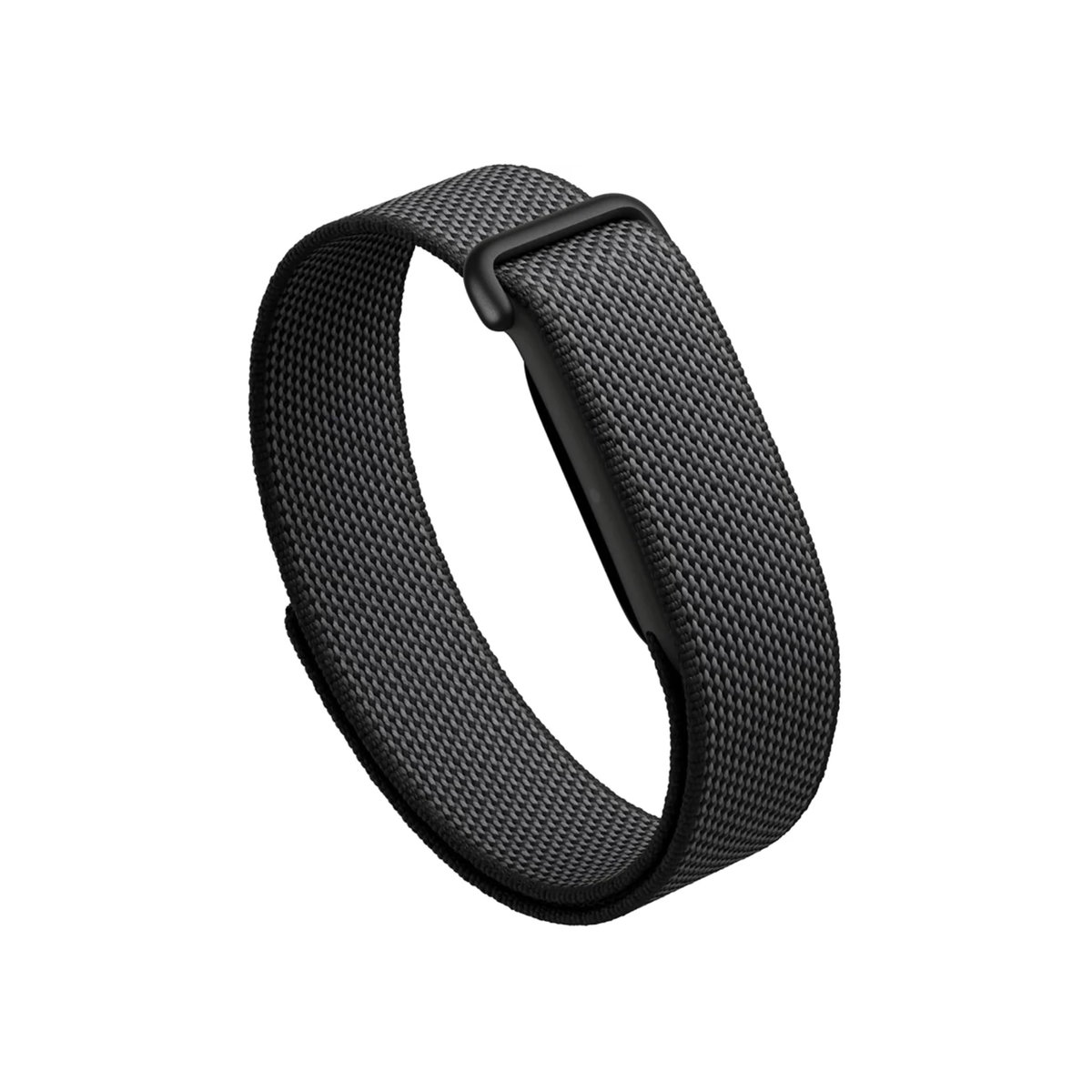 Google Fitbit Air