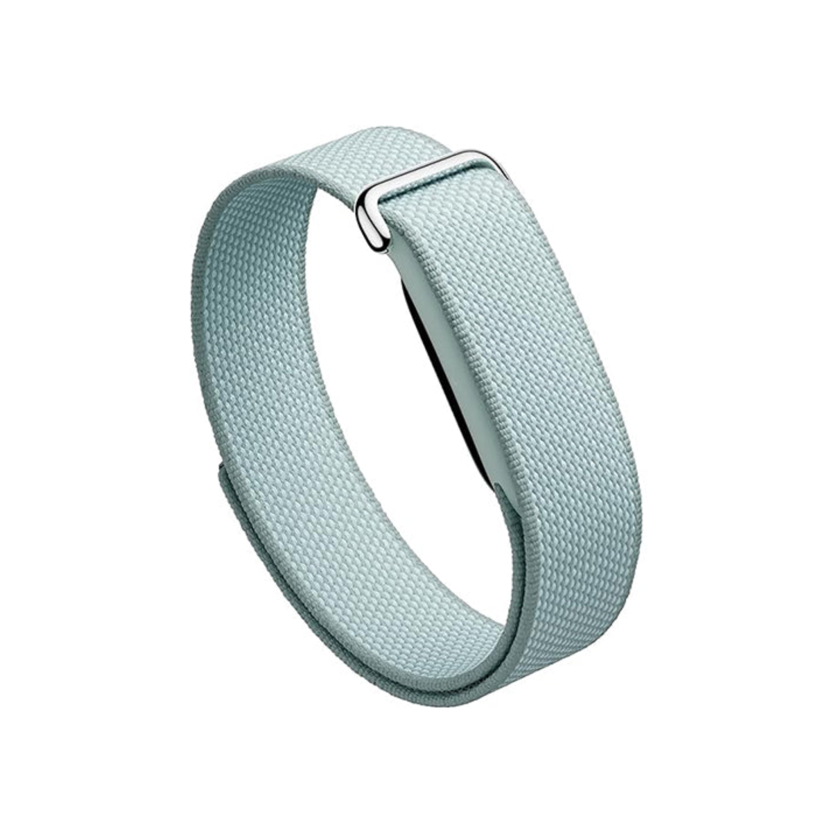Google Fitbit Air