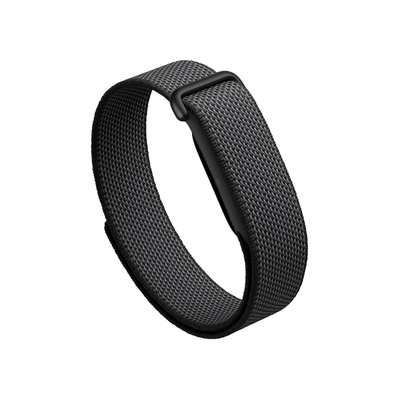 Google Fitbit Air